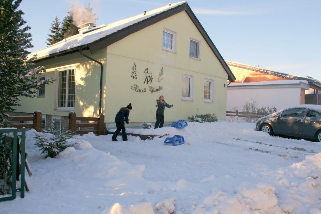Haus Bambi Apartment *